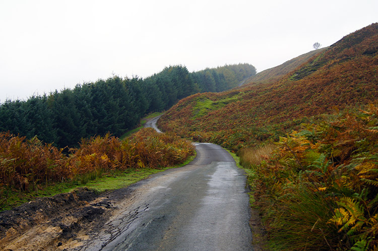 The road from Cockayne to Bilsdale East Moor