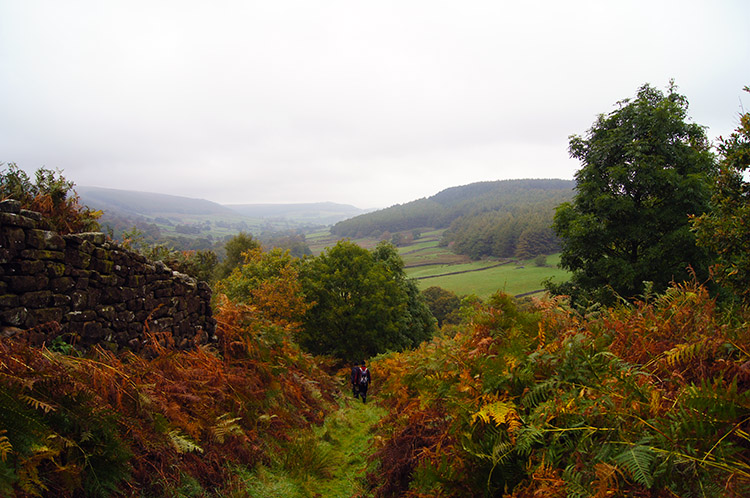 The path from Stork House to Low Lidmoor