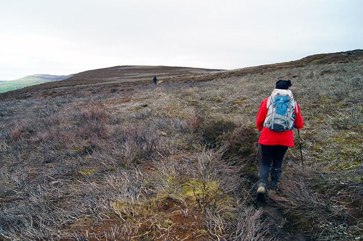 Heading to the top of Cold Moor