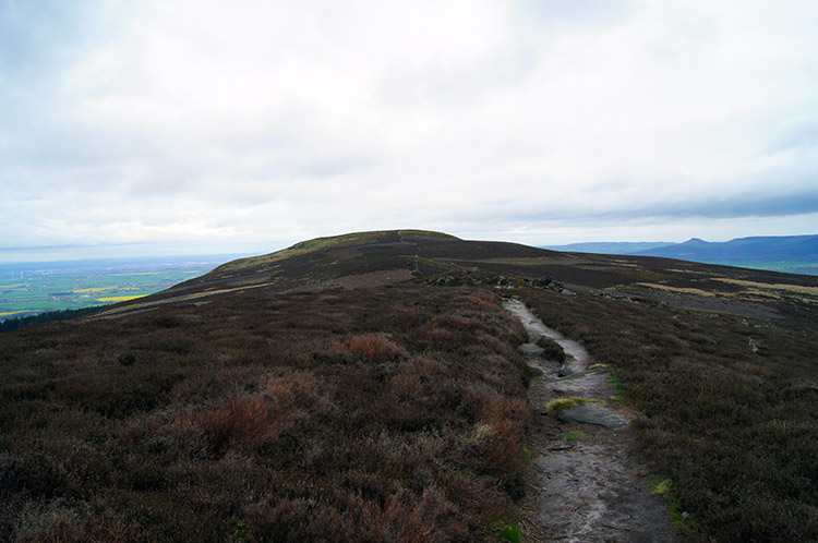 The view north along Cold Moor