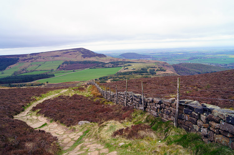 On the Cleveland Way descending Cringle Moor