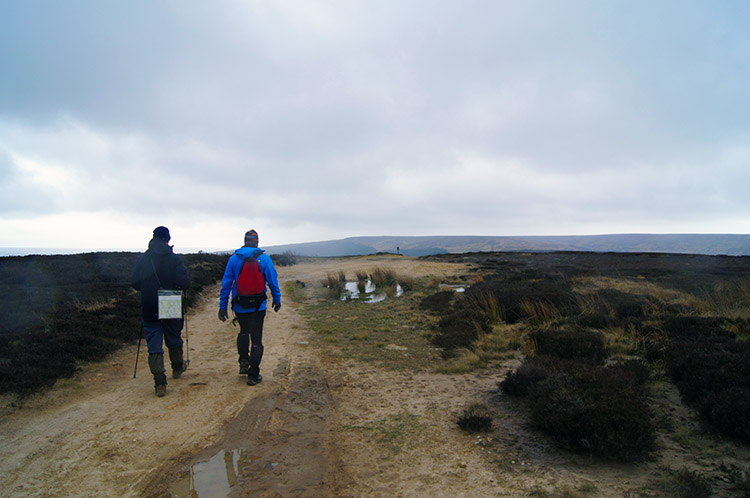 Bilsdale West Moor