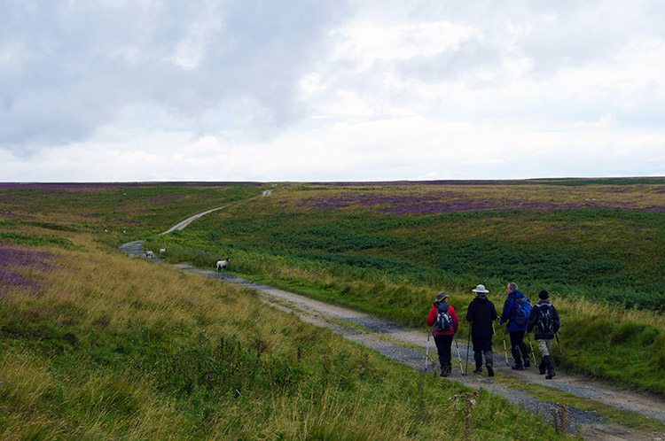 Beginning the circuit of Arden Great Moor