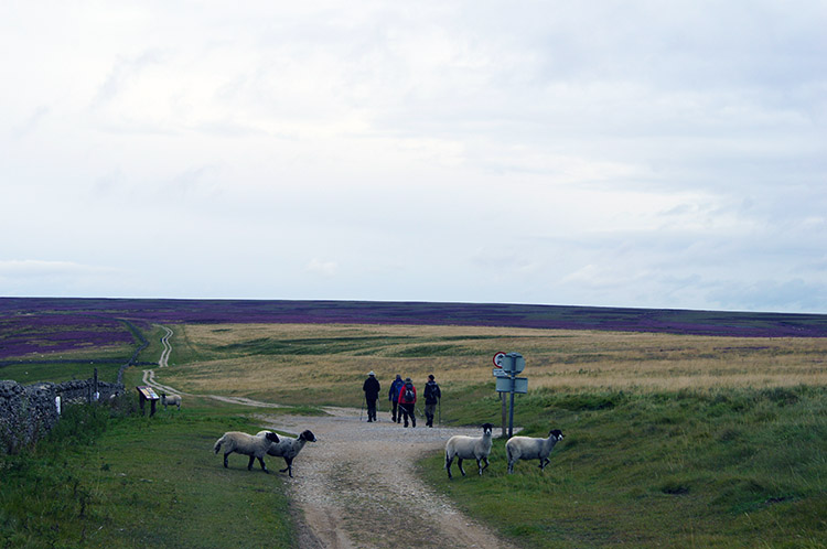 Joining the Cleveland Way