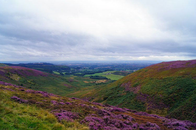 View west to Nether Silton