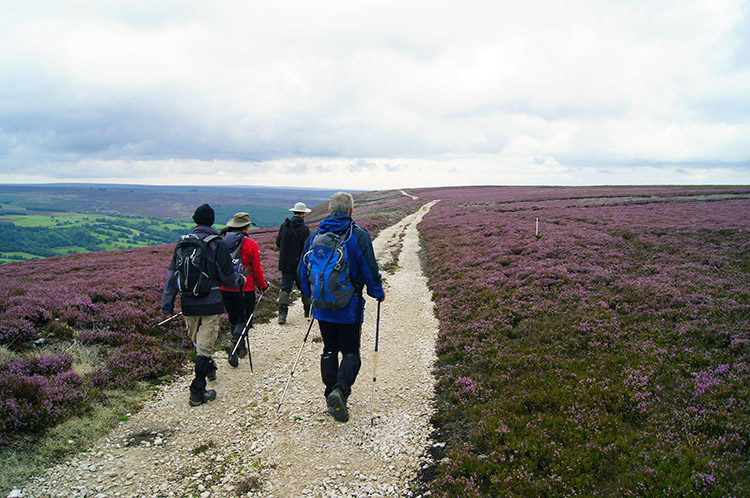 Continuing the circuit of Arden Great Moor