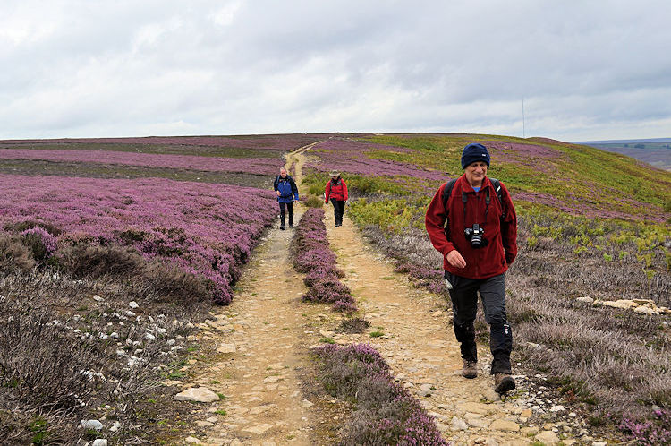 The Walking Englishman in his element