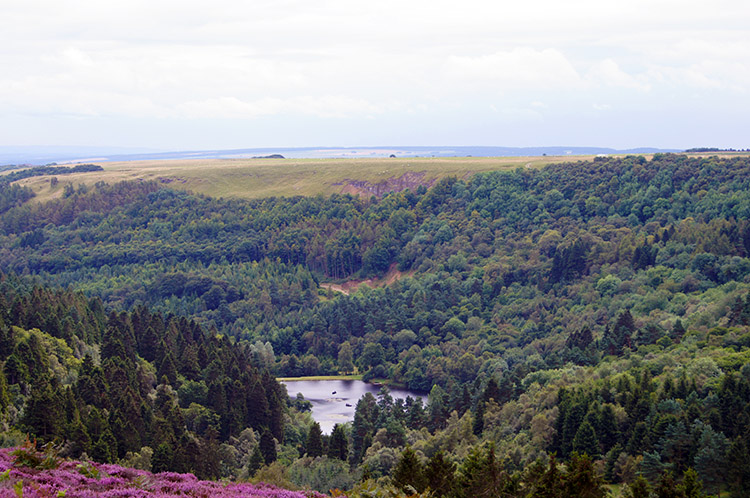 Reservoir supplying Arden Hall