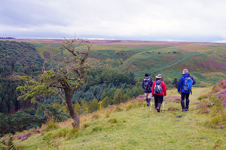 Leaving the moor