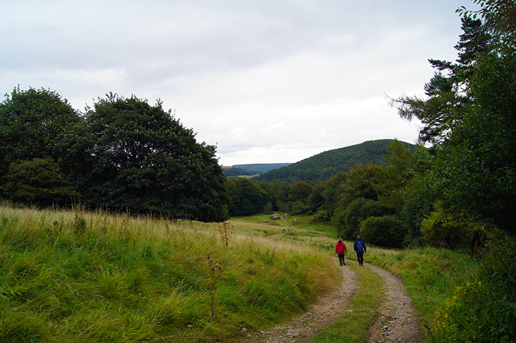 Clearing near Arden Hall