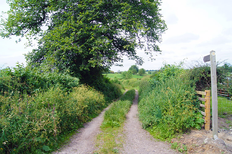 Following the Ripon Rowel from Masham