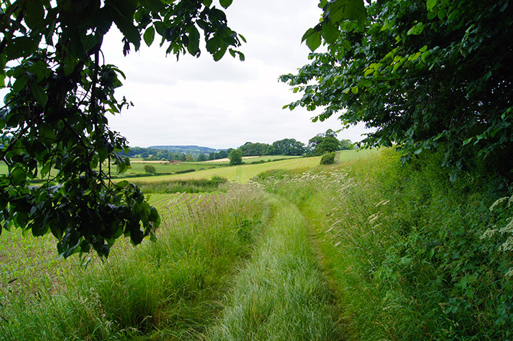 Following a good path across countryside