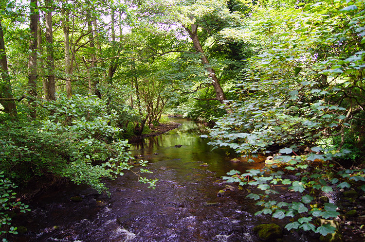 River Burn near Shaws Bridge