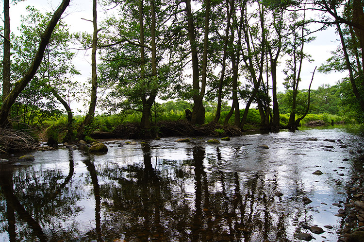 The River Burn flows towards the Ure