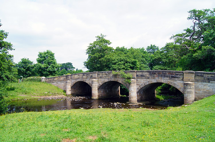 Low Burn Bridge