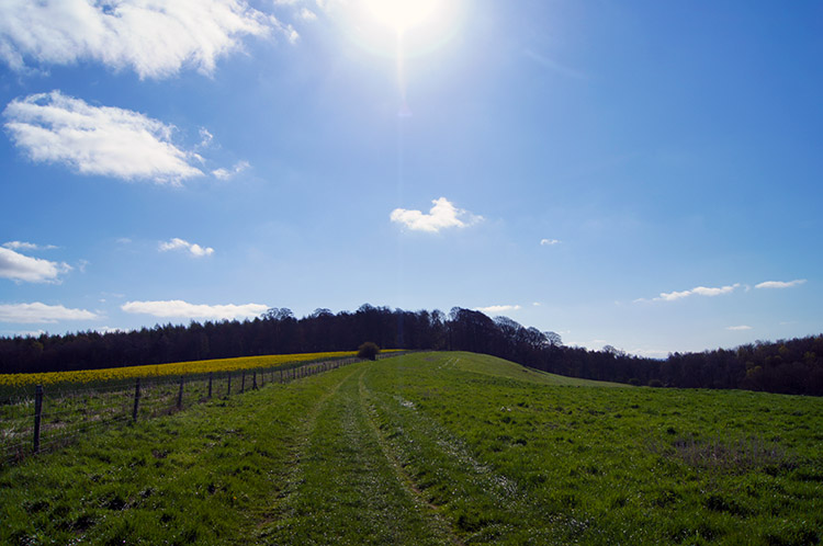 Countryside near the start of the walk