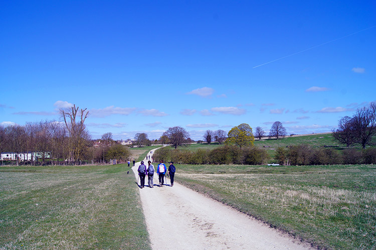 Walkers exploring the Castle Howard area