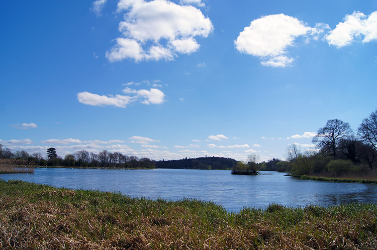 Great Lake as seen from the Stray