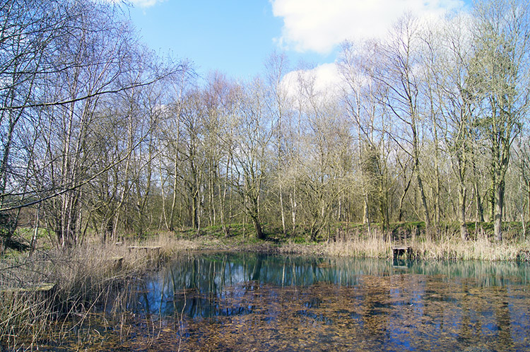 Fishing pond near Howthorpe Farm