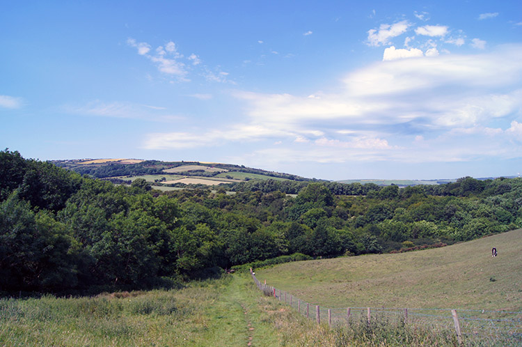 Oakridge Wood