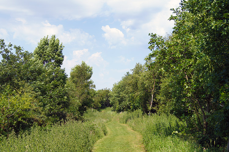 Oakridge Nature Reserve