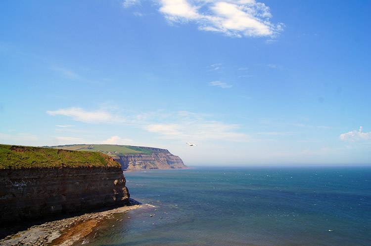 Coastline from Staithes to Saltburn