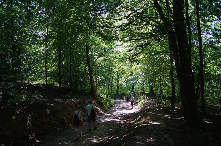 Walking from the car park