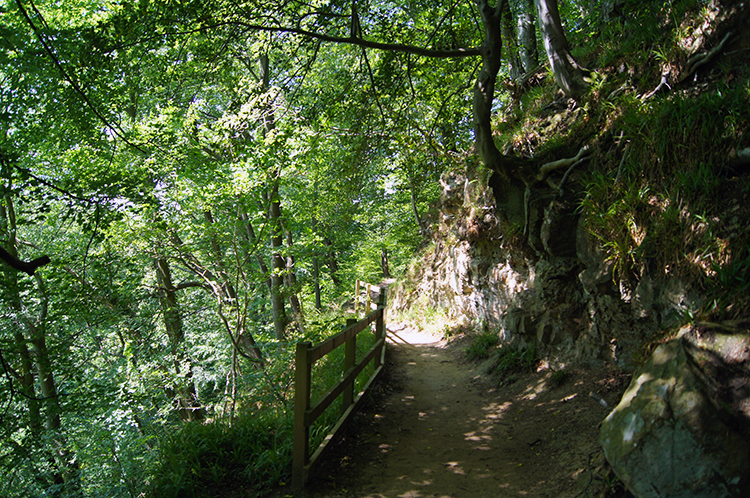 Path down to Falling Foss