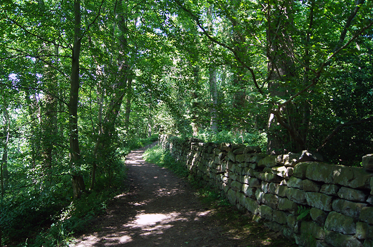 Path leading to the Hermitage