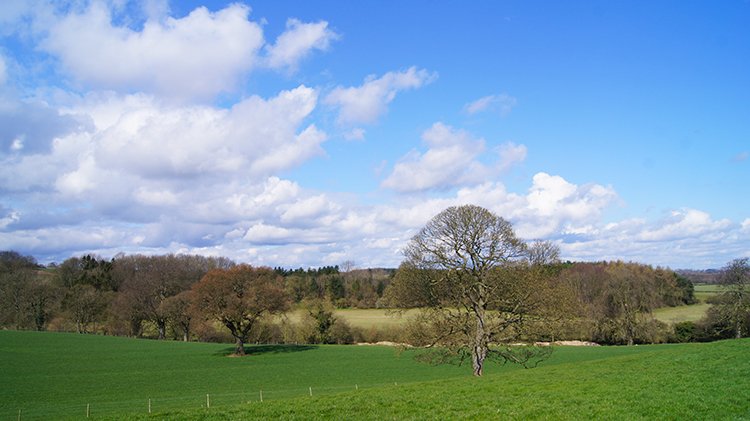 View from Whitcliffe Hall