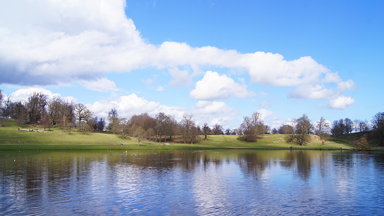 Studley Lake