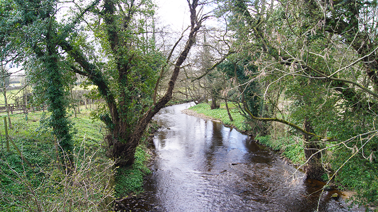 River Laver