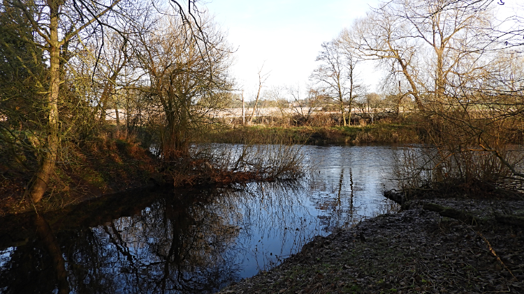 River Skell flows into the River Ure