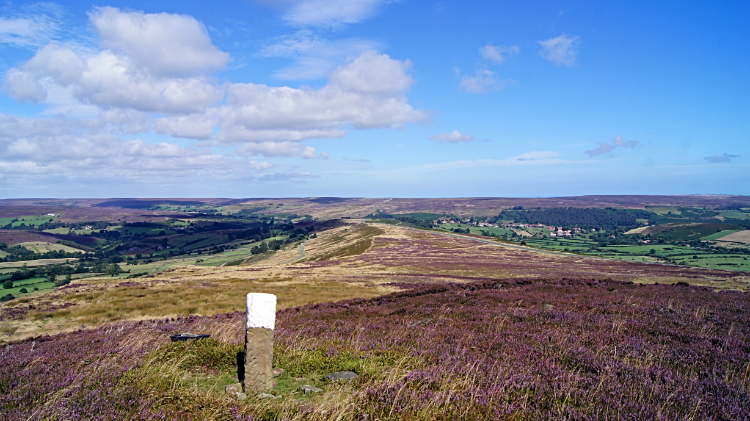 View from Castleton Rigg to Danby Rigg