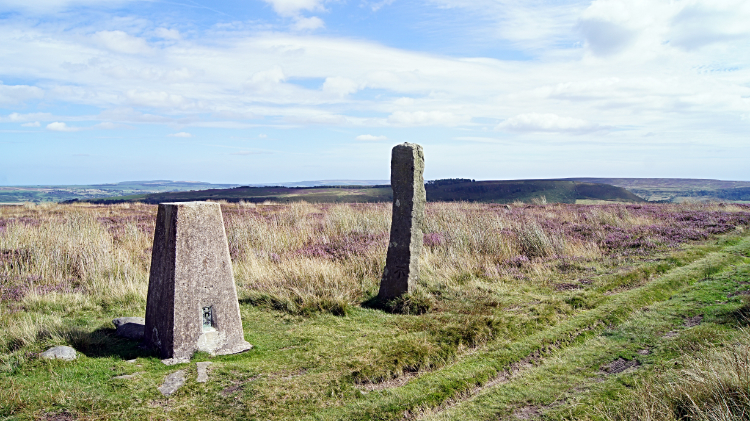 Trig Pillar on Danby Rigg, 312m altitude