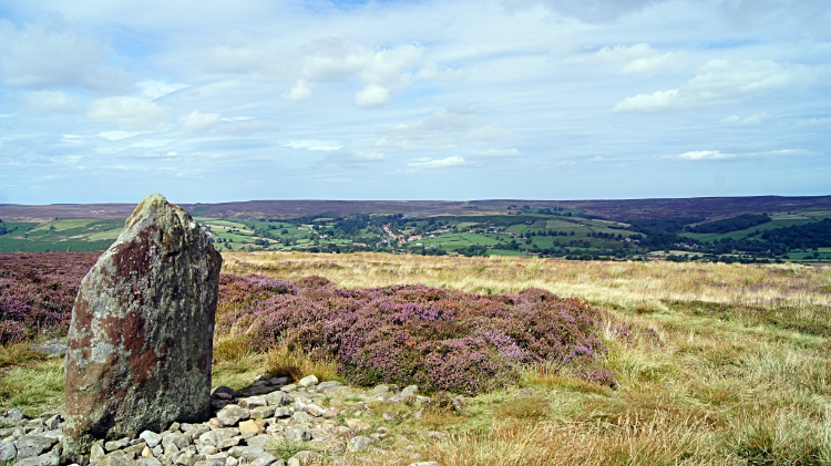 Danby Rigg Standing Stone