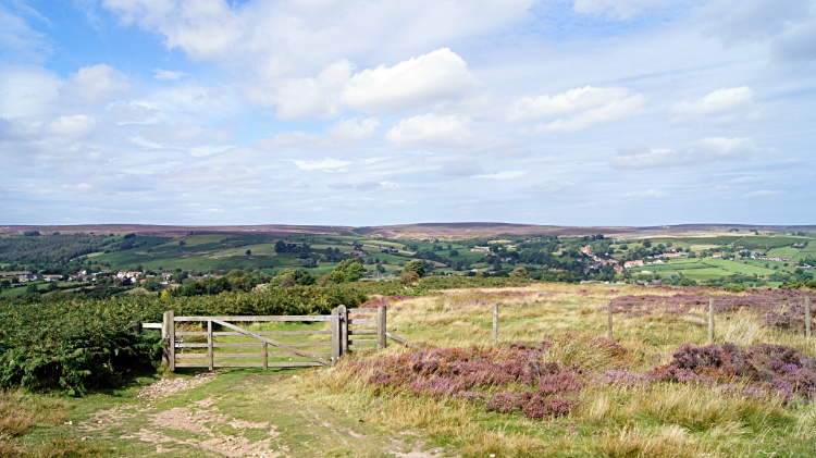 The way home from Danby Rigg