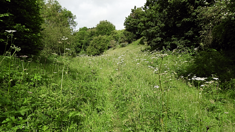 The path through Hill Gill