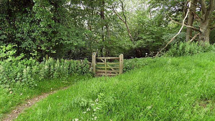 Gate into Callister Wood