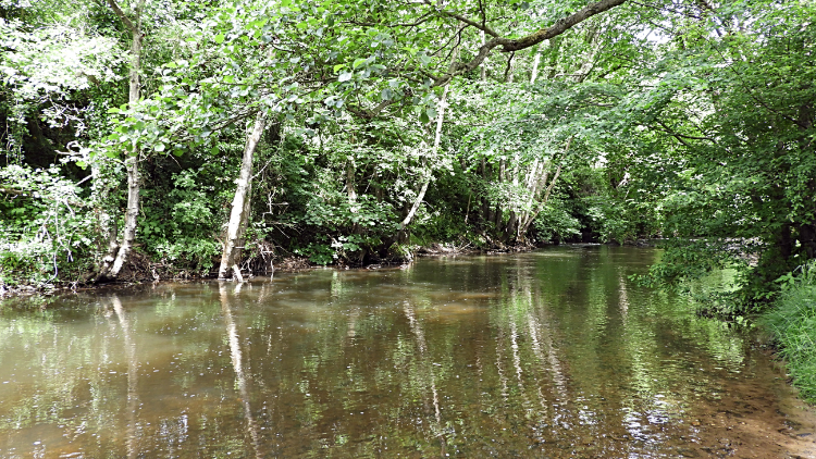 River Rye in Rievaulx