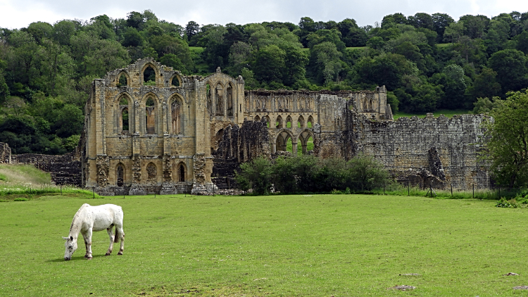 Rievaulx Abbey