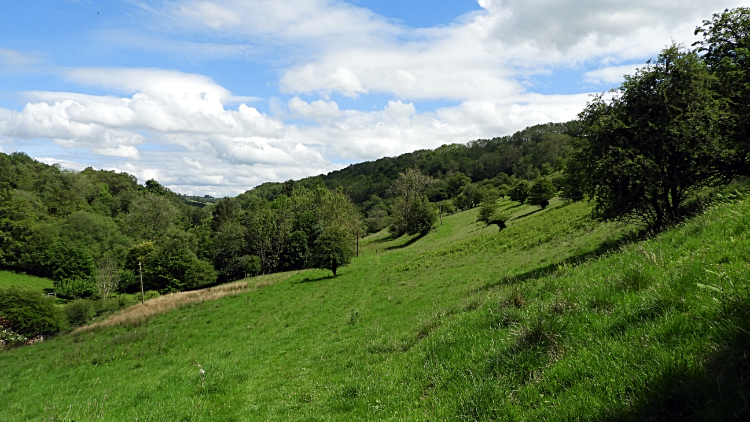 Near Caydale Mill