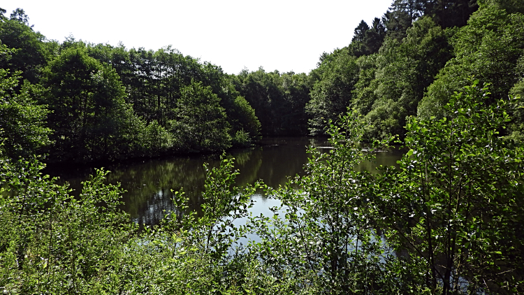 Oakdale Lower Reservoir