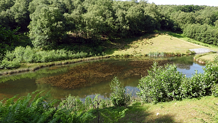 Oakdale Upper Reservoir