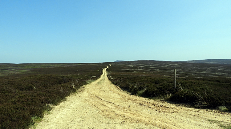 Track on Osmotherley Moor