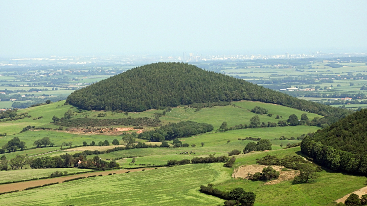 Whorl Hill