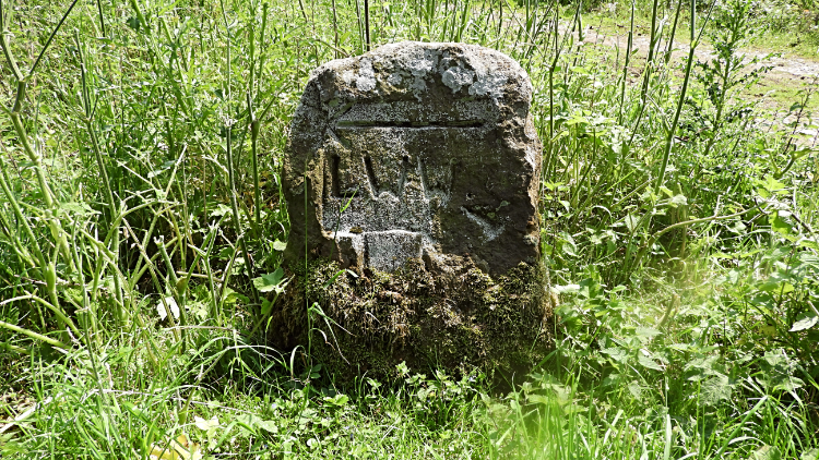 Lyke Wake Walk marker stone