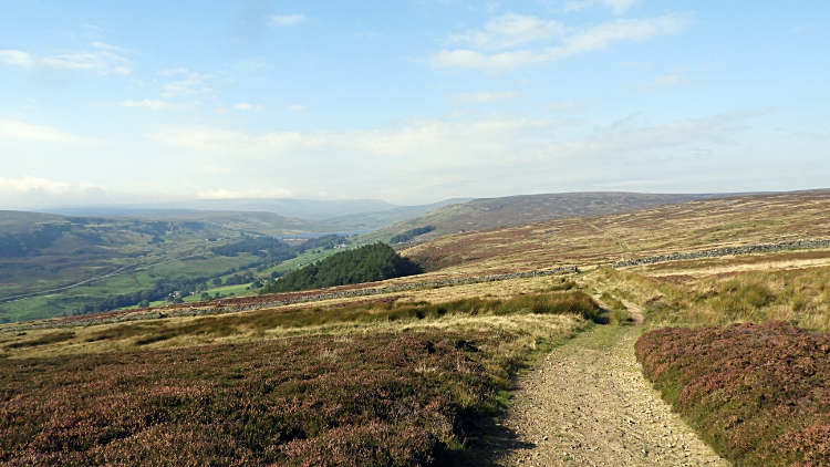 Upper Nidderdale and North Moor