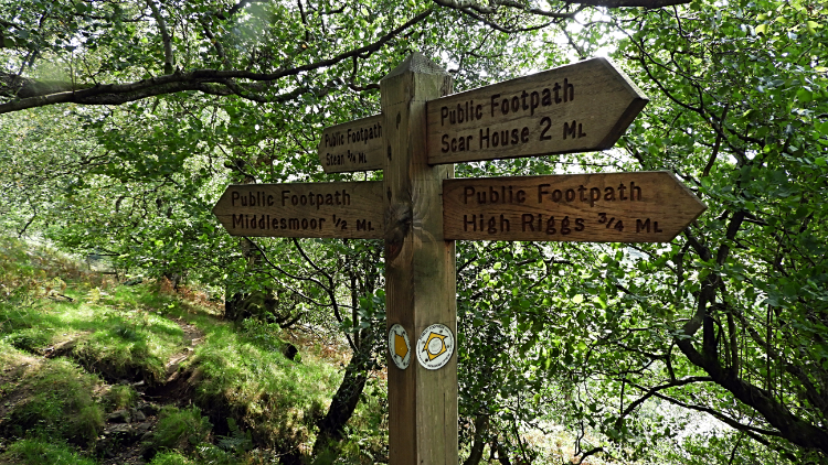 Choices at How Stean Beck