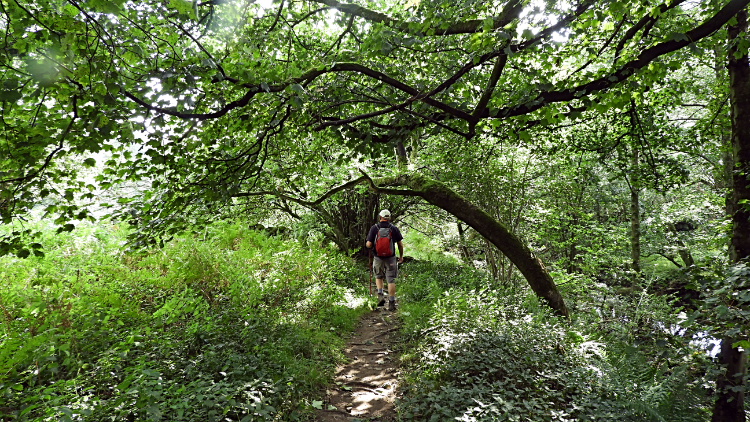 The pretty trail beside How Stean Beck